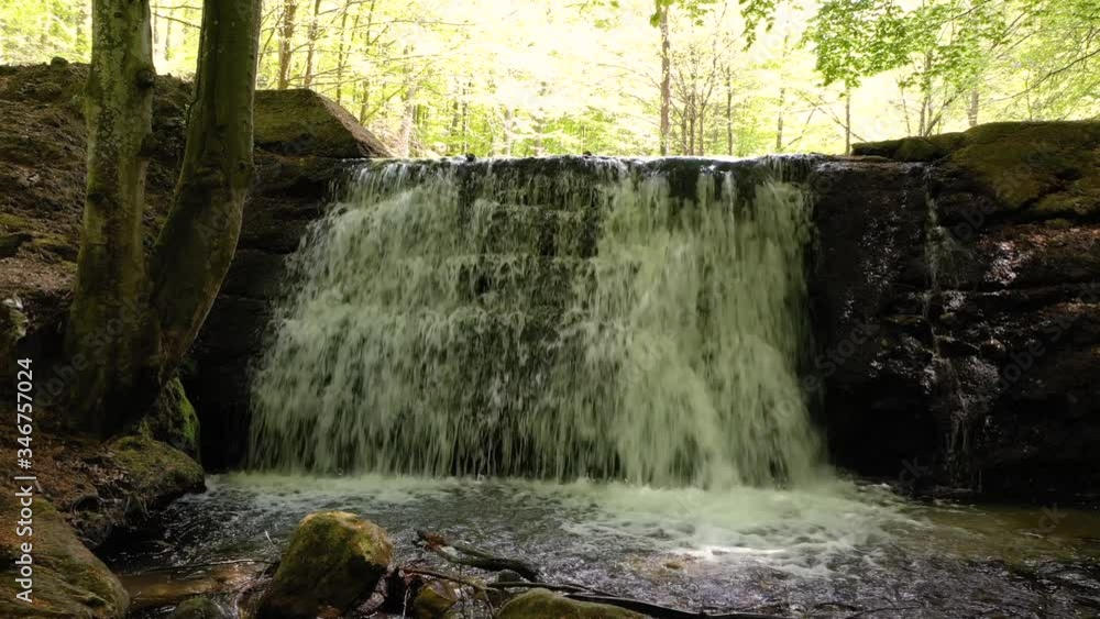 Filming from a drone, river flow down a mountain waterfall and a little white dog by the river Filming from a drone, river flow down a mountain waterfall and a little white dog by the river