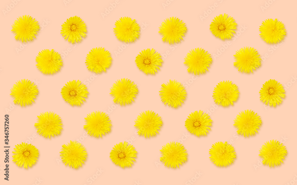 Yellow dandelions pattern on pale orange background. Top view, realistic photo collage, floral pattern for fabrics, wrapping paper or cards. Spring colors, repeating blossoms neatly organized Yellow dandelions pattern on pale orange background. Top view, realistic photo collage, floral pattern for fabrics, wrapping paper or cards. Spring colors, repeating blossoms neatly organized