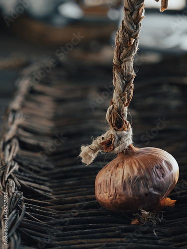 closeup of an onion on wooden tray