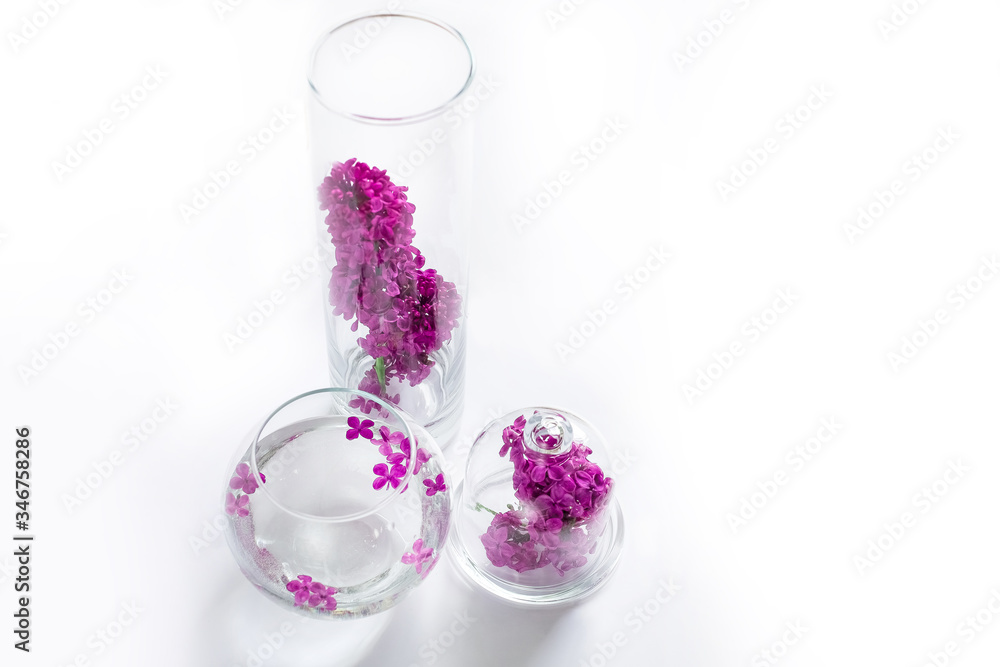 purple lilac in a round vase, round vase with water, glass round vase purple lilac in a round vase, round vase with water, glass round vase