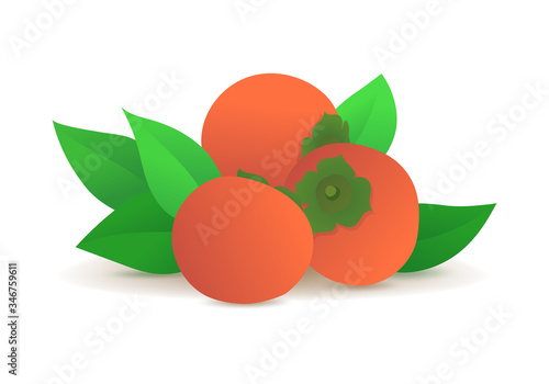 Ripe persimmons with green leaves icon. Organic farming, natural and tasty nutrition. Fresh tropical fruits isolated on white background. Persimmon color element vector illustration in flat style.