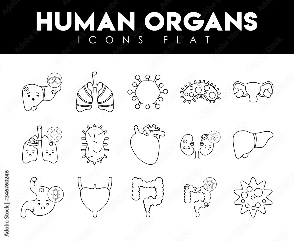 Human organs and virus line style icon set vector design Human organs and virus line style icon set vector design