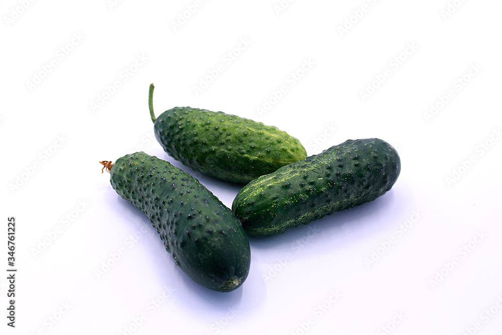 Photo of young cucumbers on a white background, close-up Photo of young cucumbers on a white background, close-up