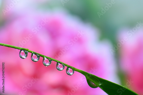 Close-up of water droplets on abstract background