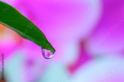 Close-up of water droplets on abstract background © Thiradech