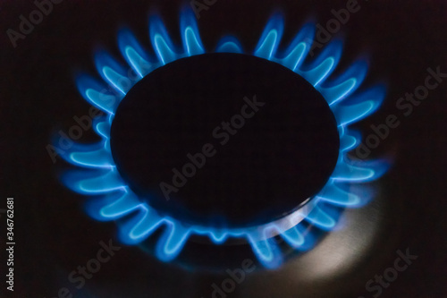 blue gas flame close up on the gas stove photo