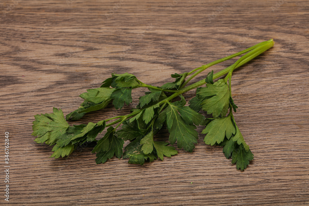 Green fresh parsley branch herb Green fresh parsley branch herb