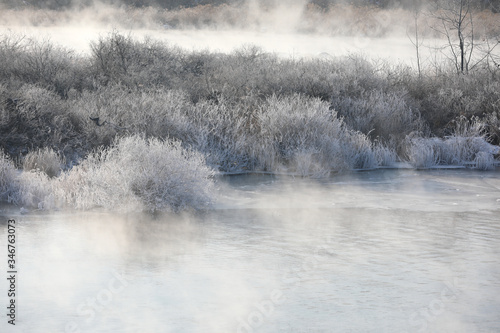 Trees and reeds are covered with snow, and the river has water mist. Soyang River, Chuncheon City, Korea