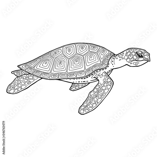 Abstract graphic sea turtle. Profile image of a tortoise with detailed drawing of body parts in doodle style. Colorless, black and white cartoon turtle. The ocean tortoise with four fins in move.