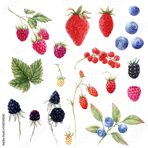 Beautiful set with watercolor hand drawn berry paintings. Stock illustration.