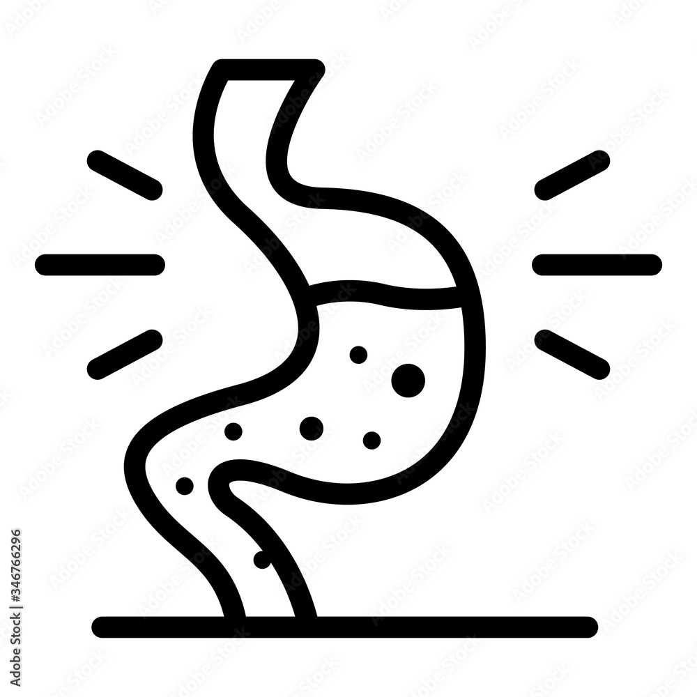 Obraz premium Stomach digestion icon. Outline stomach digestion vector icon for web design isolated on white background