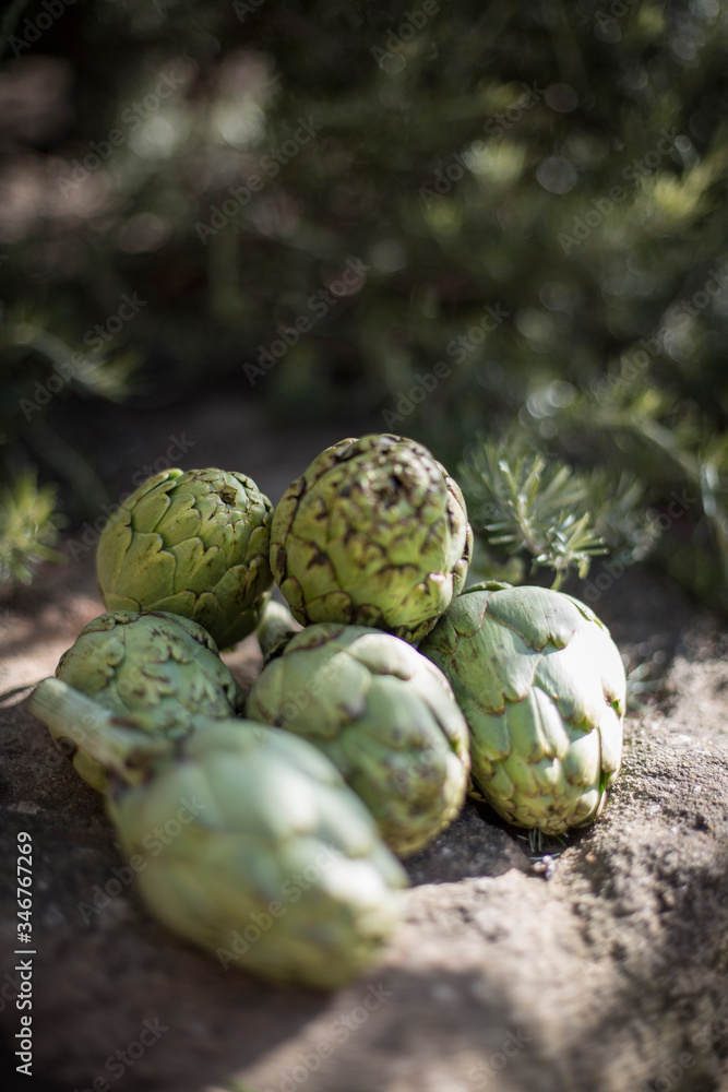 Artichokes Artichokes
