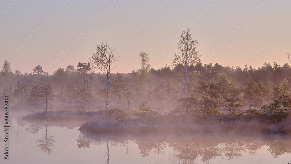 Misty Autumn morning in a marsh lake and trees near the lake Misty Autumn morning in a marsh lake and trees near the lake