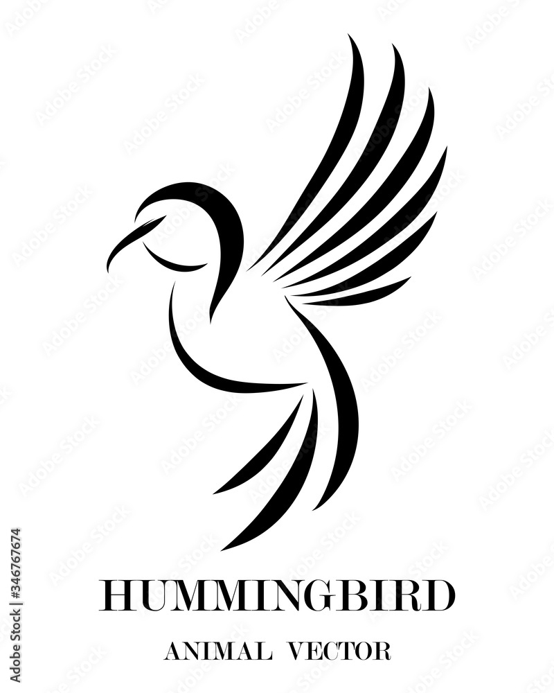 Fototapeta premium black line art Vector illustration on a white background of flying hummingbirds. Suitable for making logos.