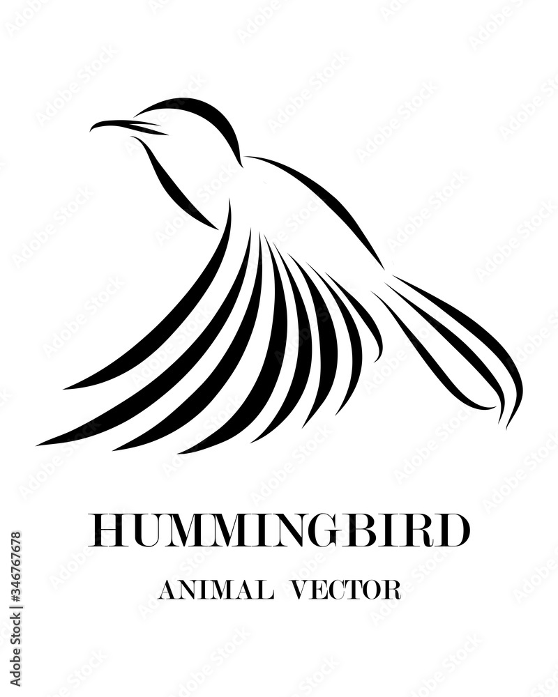 Obraz premium black line art Vector illustration on a white background of flying hummingbirds. Suitable for making logos.