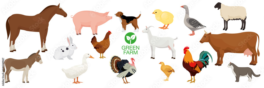 Farm animals collection. Horse, dog, goat, donkey, pig, cat, cow, sheep, hen, goose, rabbit, duck, turkey, chicken, broiler; rooster.