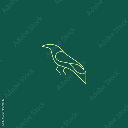 Premium Bird logo with modern concept photo