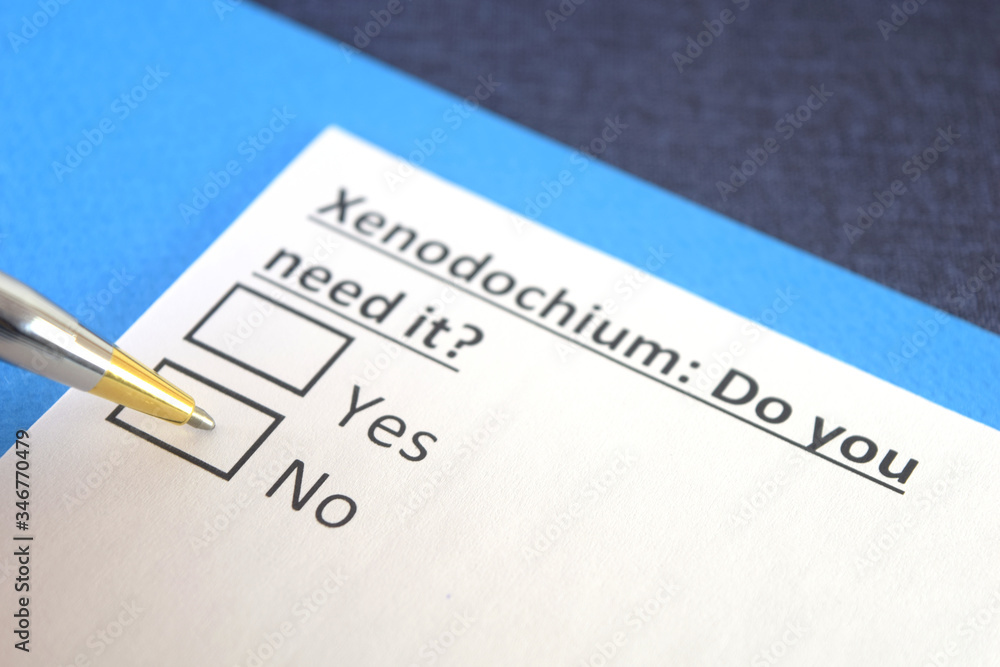 One person is answering question about xenodochium. One person is answering question about xenodochium.