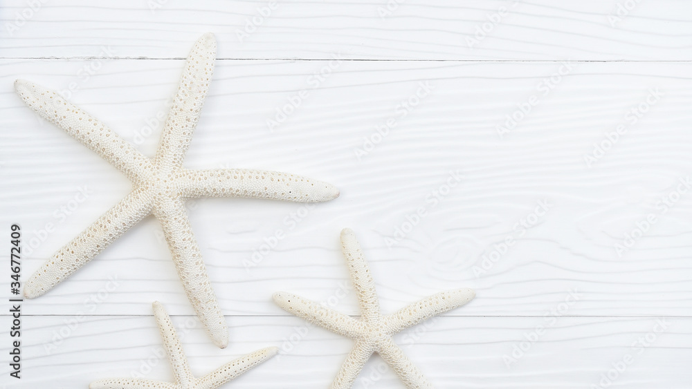 close up of starfish on white wooden background close up of starfish on white wooden background