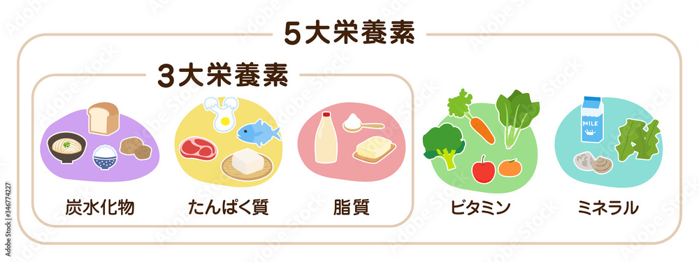 5大栄養素と3大栄養素の日本語の見出しが入った食材のベクターイラスト

