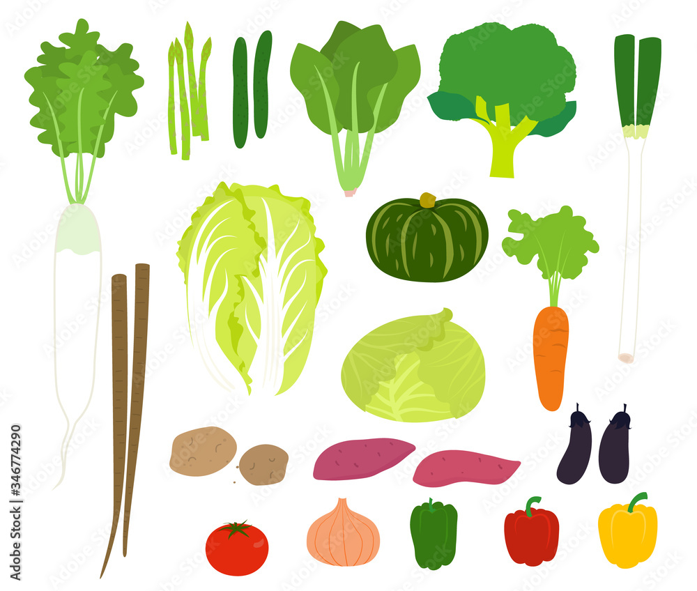 たくさんの野菜を並べたシンプルなベクターイラストのセット Stock Vector Adobe Stock