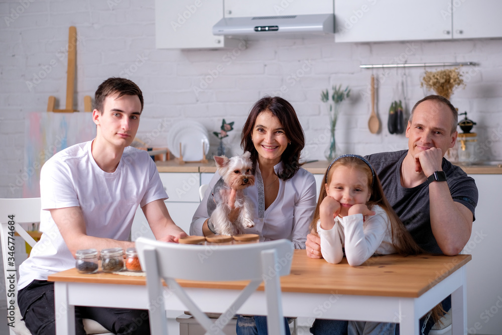 family with a dog plays in the kitchen light family with a dog plays in the kitchen light