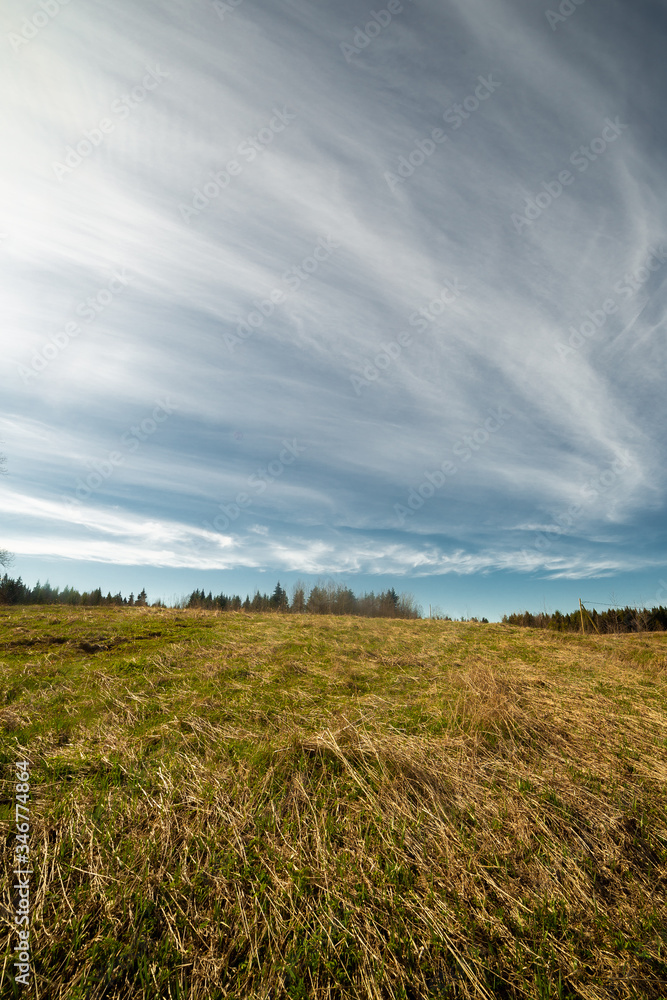 clouds landscape at summer day
