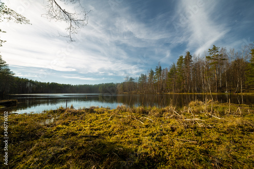 Obraz na płótnie Pine forest and lake in Russia w salonie