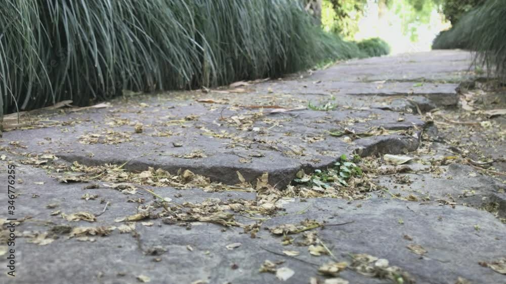 Close up look of the trail path in the nature with leaves. The road of ...