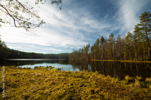 Obraz na płótnie Pine forest and lake in Russia w salonie