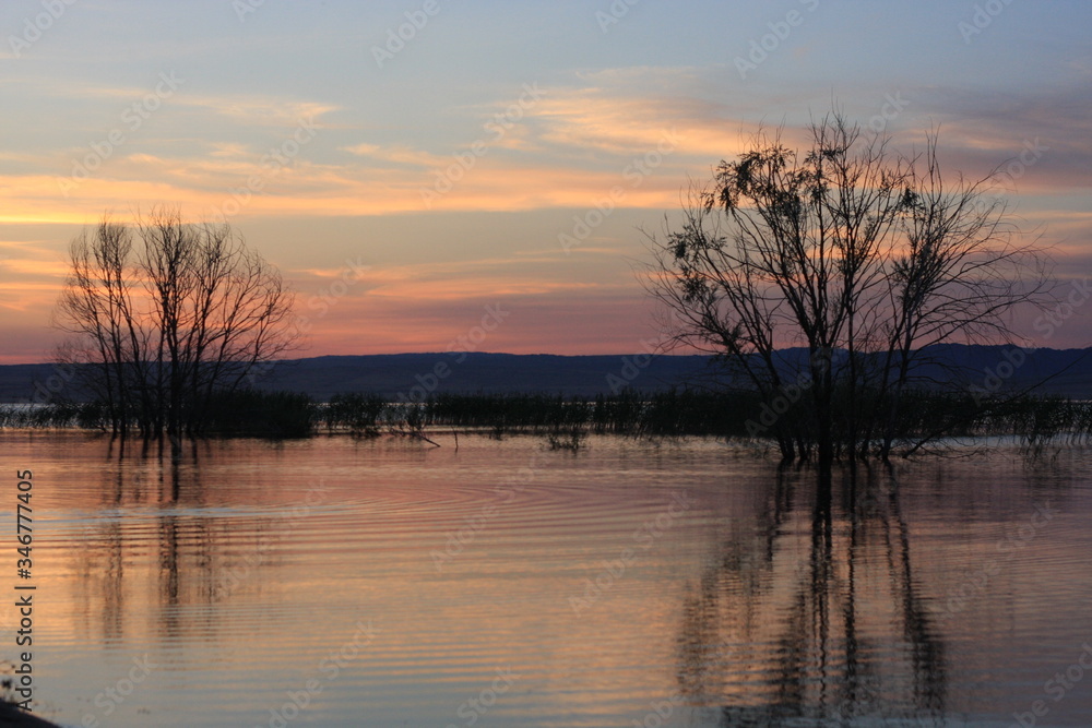 Sunset at the river, tree silhouette reflection on the water surface