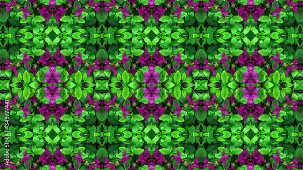 4K. Abstract kaleidoscopic detailed pattern with fresh green leaves. Animated summer floral background. Delicious visual textures for a perfect introduction. 4K. Abstract kaleidoscopic detailed pattern with fresh green leaves. Animated summer floral background. Delicious visual textures for a perfect introduction.