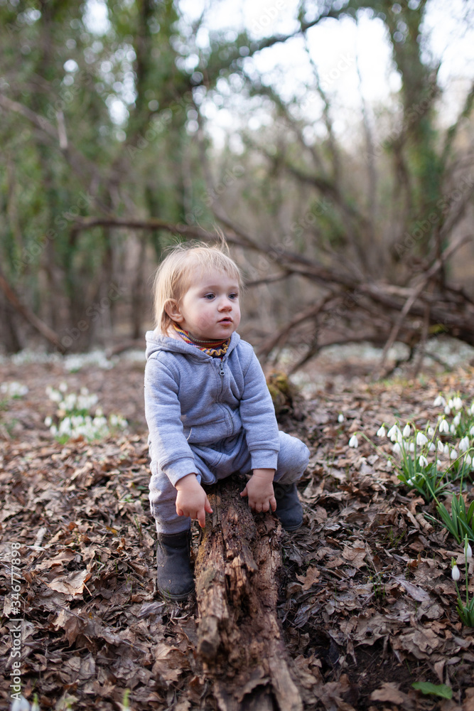 Little pretty girl in a clearing of snowdrops. A child walks in the spring forest. Toddler sits on an old fallen tree Little pretty girl in a clearing of snowdrops. A child walks in the spring forest. Toddler sits on an old fallen tree