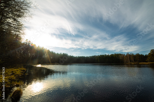 Obraz na płótnie Pine forest landscape in Russia w salonie