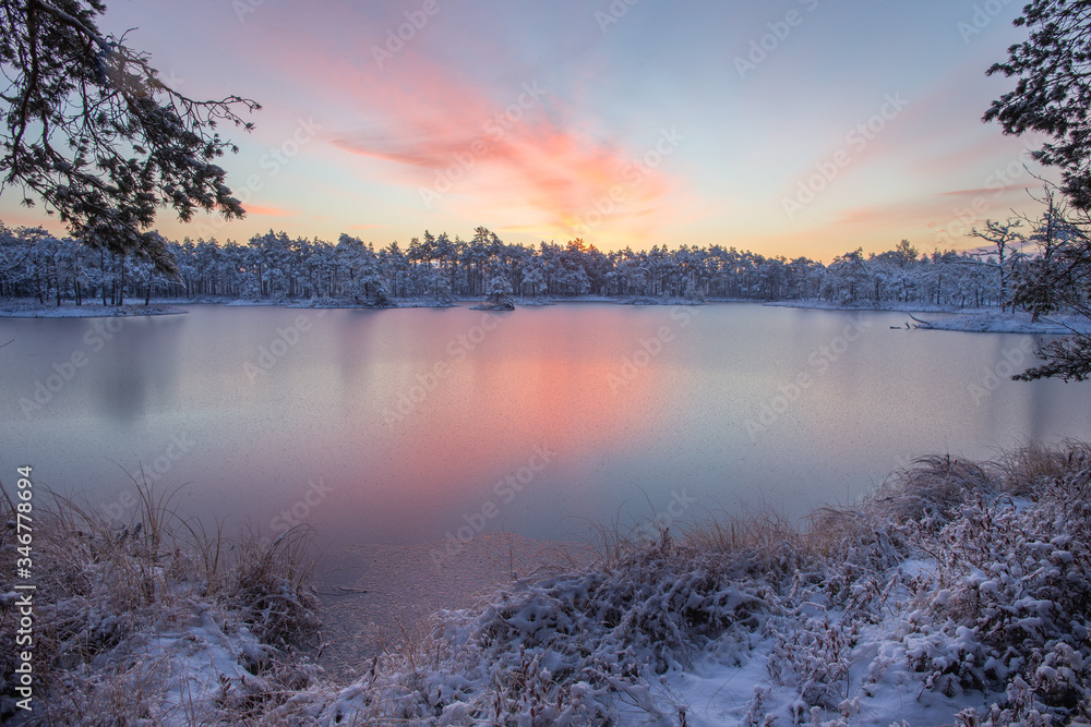 Winter sunrise and frozen marsh lake with forest near the lake