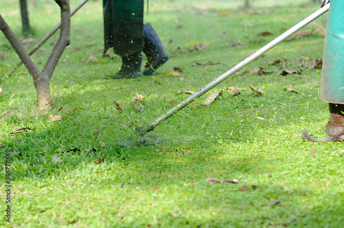 Cutting Grass