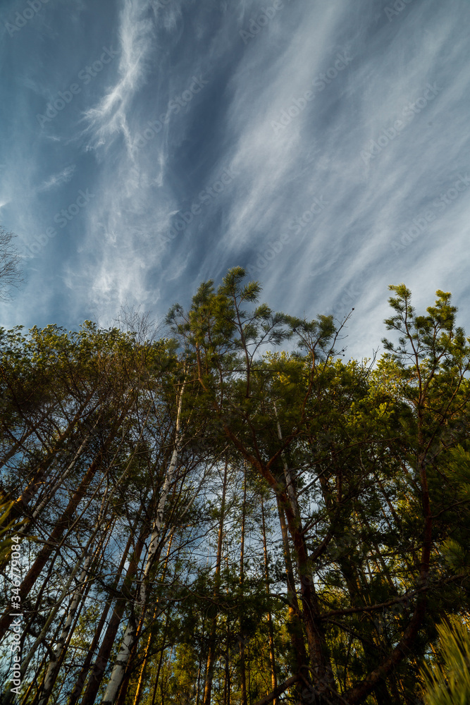 clouds landscape at summer day