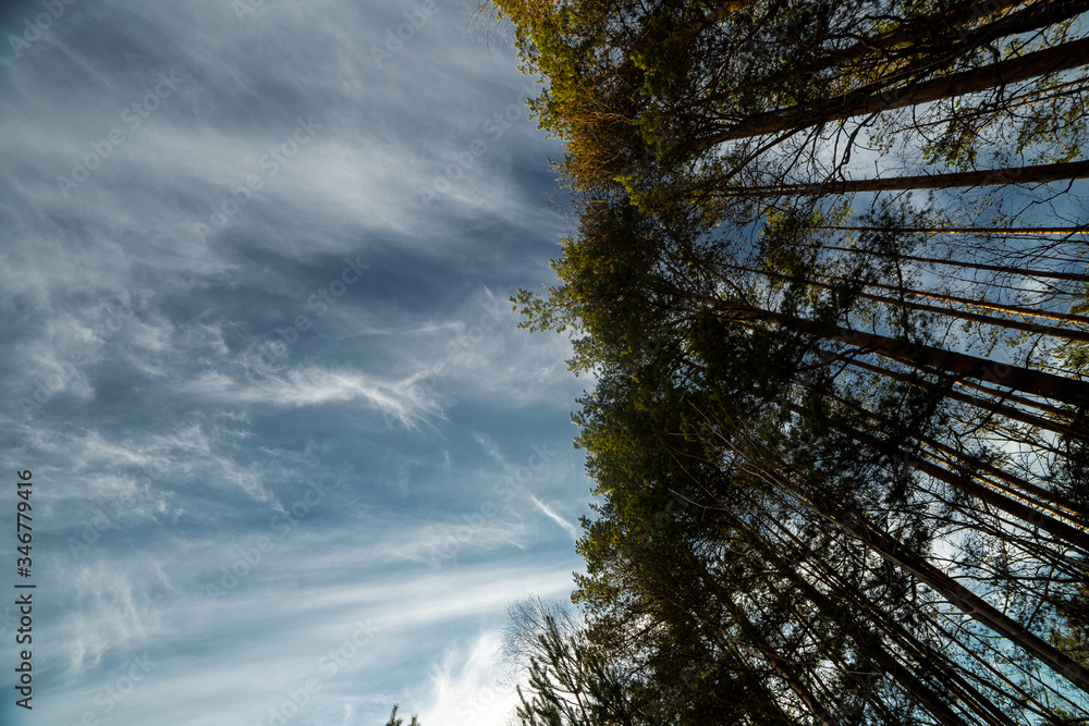clouds landscape at summer day