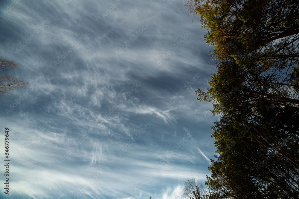 clouds landscape at summer day