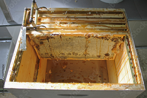 Extraction of honey from the hive boxes in Leon, Spain.