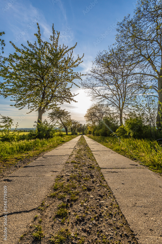 Wirtschaftweg mit Bäumen an beiden Seiten zum Sonnenuntergang Wirtschaftweg mit Bäumen an beiden Seiten zum Sonnenuntergang