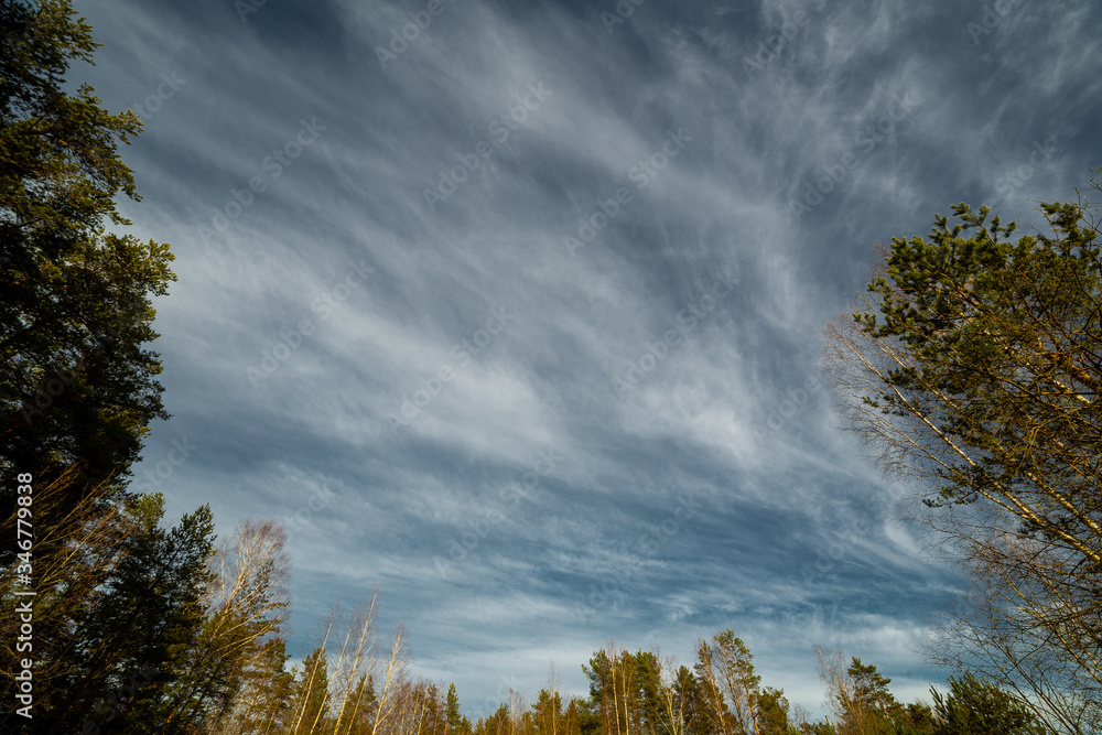 clouds landscape at summer day