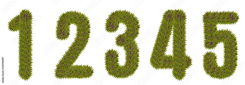 Numbers 1,2,3,4,5 made from natural leaves on a white isolated background. Natural font Numbers 1,2,3,4,5 made from natural leaves on a white isolated background. Natural font