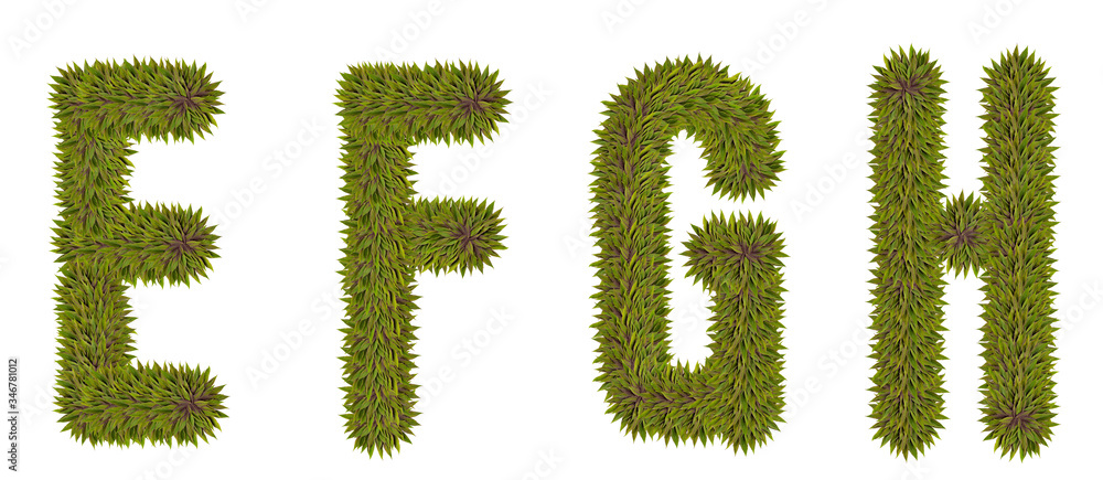 Letters E,F,G,H made from natural leaves on a white isolated background. Natural font Letters E,F,G,H made from natural leaves on a white isolated background. Natural font