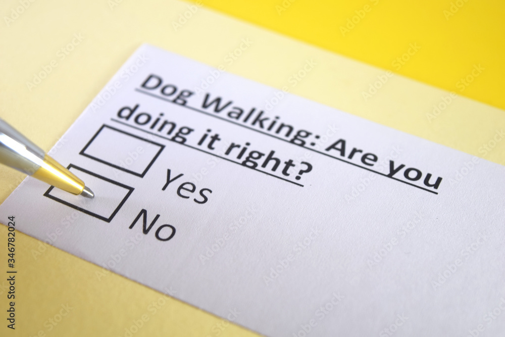 One person is answering question about dog walking. One person is answering question about dog walking.