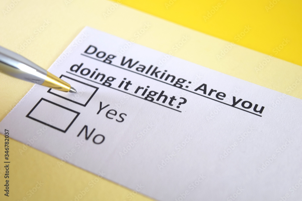 One person is answering question about dog walking. One person is answering question about dog walking.