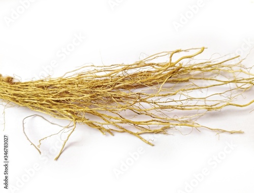 vetiver root aromatic herb ingredient isolated on a white background