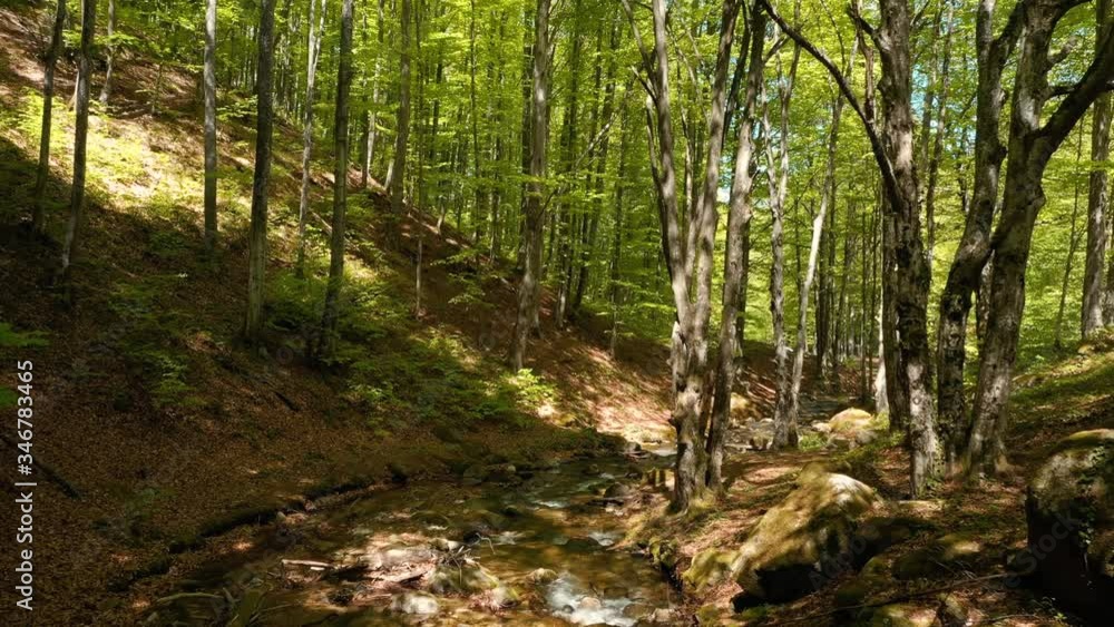 Shooting from a drone, the flow of a mountain river and the awakening of nature around it in the spring Shooting from a drone, the flow of a mountain river and the awakening of nature around it in the spring