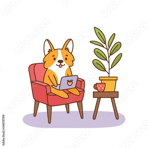 Welsh corgi dog sitting on a chair with a laptop, working at home. It can be used for card, brochures, poster, sticker etc. Vector image isolated on white background.