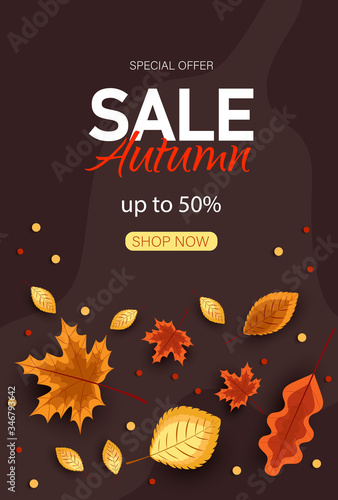 Autumn sale vector background. Autumn sale and discount text in red space with maple leaves in white textured background for fall season marketing promotion. Vector illustration Vertical view © Helenshi